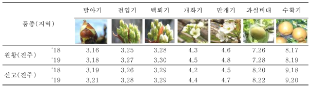 배 원황, 신고 주요 생육기 (월, 일)