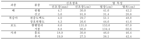 과종별 신초생육 및 엽특성