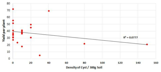 Soybean yield per plant against of initial density of cyst of H. glycines