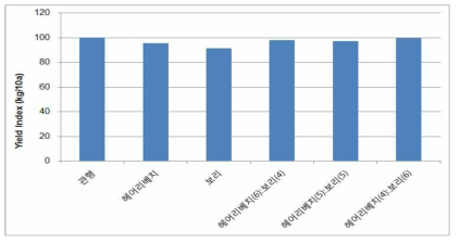 녹비작물 투입시 관행(화학비료 투입)과의 수량지수 비교