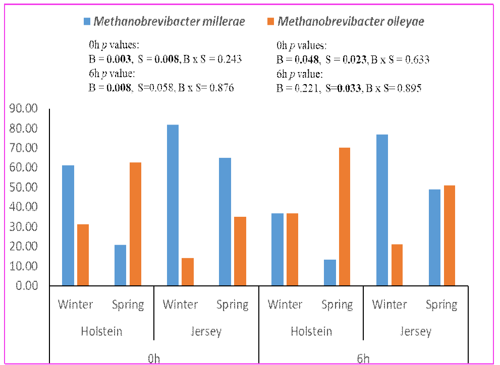 Species level에서 계절(S) 및 품종간의(B) methanogen의 비교