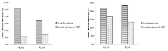 고온기 젖소 품종간 반추위내 열 발생 관련 미생물 균총 비교 (RH: 홀스타인 위액, RJ: 저어지종 위액 / 좌: 5월, 우: 7월)