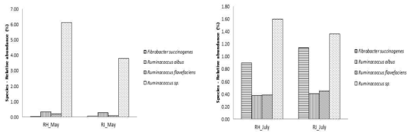젖소 품종간 반추위내 섬유소 분해균 균총 비교 (RH: 홀스타인 위액, RJ: 저어지종 위액 / 좌: 5월, 우: 7월)