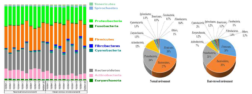적온과 고온 환경에 따른 젖소 홀스타인종 반추위내 미생물 균총의 문 수준 분류 (좌: 샘플별 미생물 균총 분류, 우: 상위 10가지의 우점 미생물 균총)