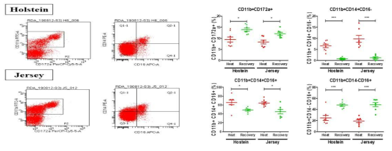 고온기와 회복기의 홀스타인, 저지의 단핵구 유세포 분석 결과