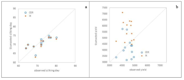 CERES-MAIZE(CER)과 IXIM(IX)의 출사기 비교(a)와 CERES-MAIZE(CER)과 IXIM(IX)의 수량비교(b)