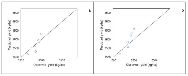 leaf photosynthesis response(a)와 canopy curve(b)에 따른 실측과 예측결과 비교