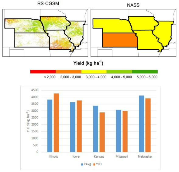 2019 년도 작물 모형 인공위성 연계 시스템으로 추정된 콩 수량 및 미국 주별 통계 수량 비교