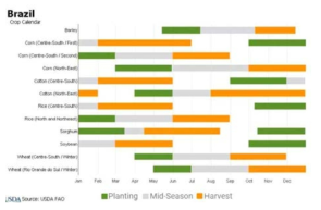 브라질 주요 작물 작부체계