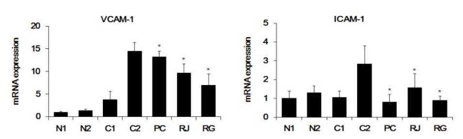 혈관 염증세포 부착 및 이동 조절 염증 유전자 발현 조절 평가