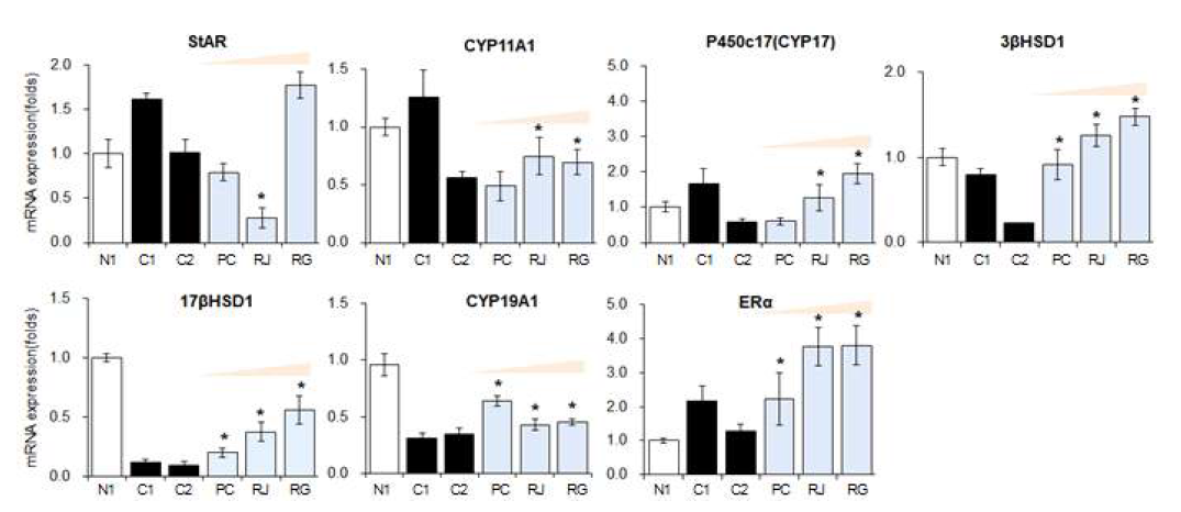 무 추출물의 에스트로겐 합성 유전자 발현 조절 평가 C57BL6/J:(N1)정상군 ApoE-/-:(C1),무처리, (C2)고콜레스테롤식이, (PC)atorvastatin, (RJ)제주무, (RG) 강화무
