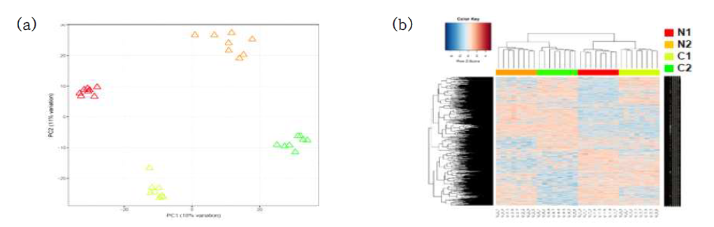 대사체 프로파일 (a) PCA, (b) HCA C57BL6/J:(N1)정상군 (N2)고콜레스테롤식이, ApoE-/-:(C1),무처리, (C2)고콜레스테롤식이