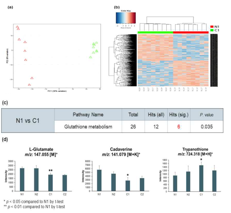 심혈관질환 동물 소변 대사체 분석 (a)PCA, (b)HCA, (c)대사경로, (d)대사체 C57BL6/J:(N1)정상군, ApoE-/-:(C1),무처리