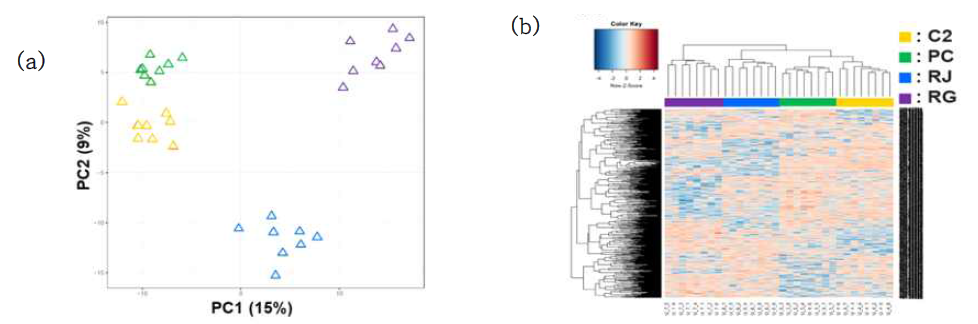 N1와 C1의 소변 대사체 표현형 분석 (a) PCA, (b) HCA ApoE-/-:(C2)고콜레스테롤식이, (PC)atorvastatin, (RJ)제주무, (RG) 강화무