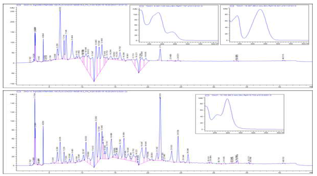 30%(상) 및 40%(하) 에탄올 분획물의 크로마토그램