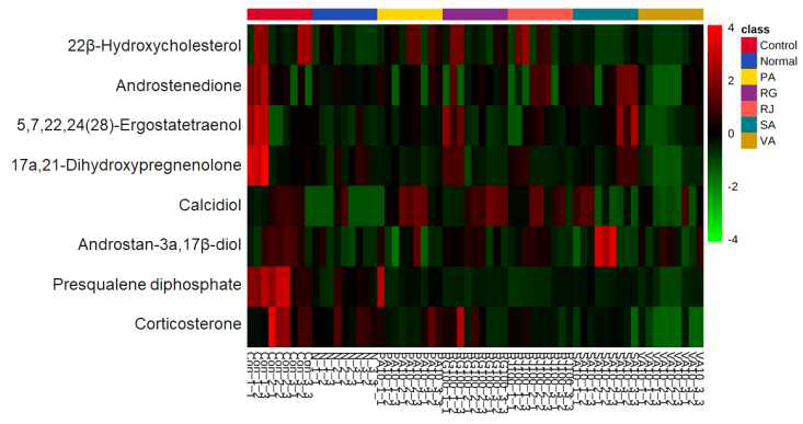 Steroid & steroid hormone biosynthesis 대사체 heatmap