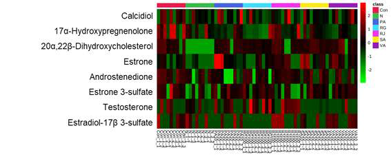 Steroid & steroid hormone biosynthesis 대사체 heatmap