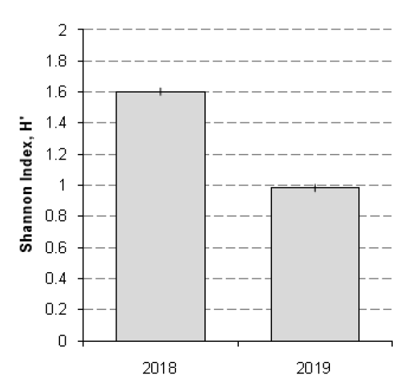 2018년도, 2019년도 다양도(Shannon diversity) 비교