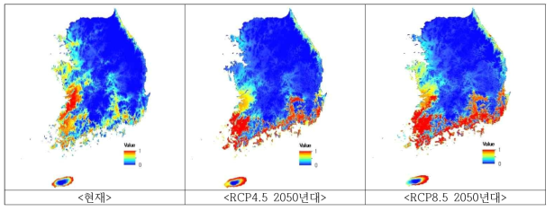 개보리뺑이 현재 및 미래 잠재분포