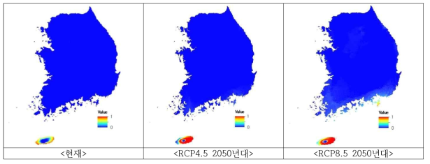 애기달맞이꽃 현재 및 미래 잠재분포