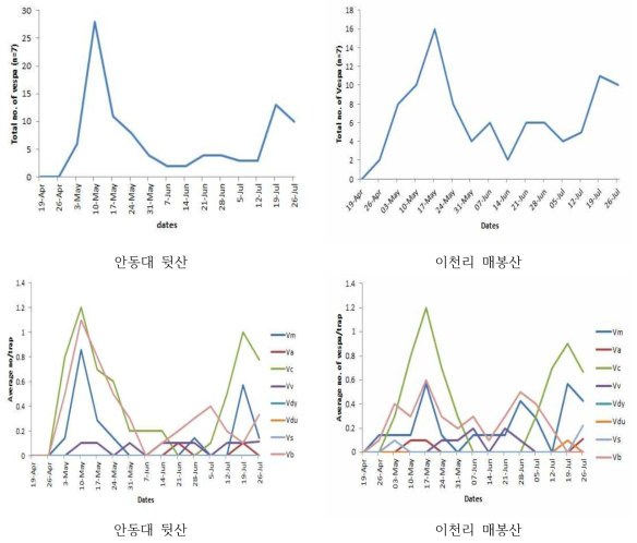 2018년 두 지점별 봄철 트랩에 포획된 말벌류 개체 수(위). 봄철 트랩에 포획된 트랩당 평균 말벌류 발생패턴(아래; Vm: 장수말벌, Va: 좀말벌, Vc: 말벌, Vv: 등검은말벌, Vdy: 검정말벌, Vdu: 꼬마장수말벌, Vs: 털보말벌, Vsx: 황말벌)