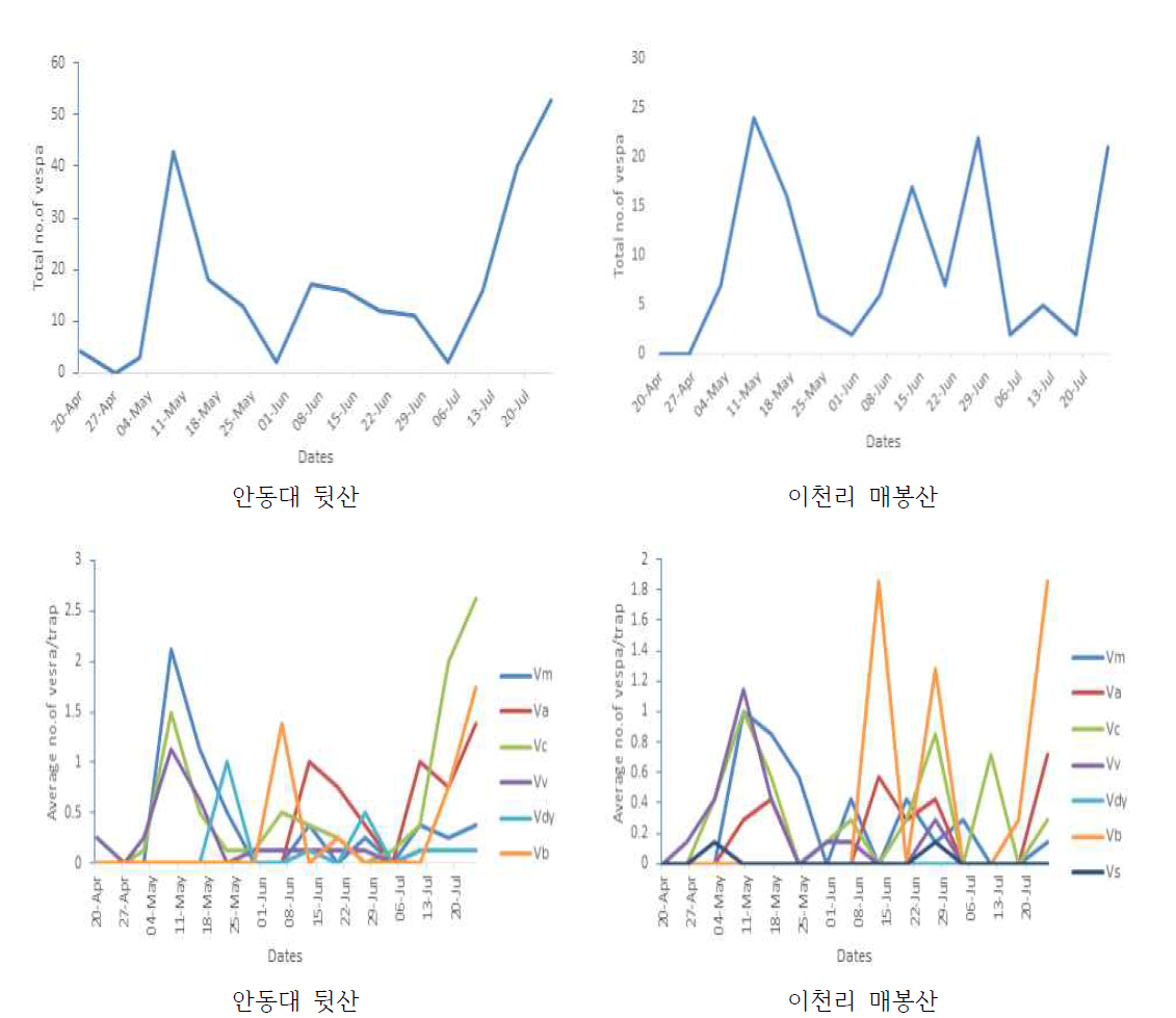 2019년 두 지점별 봄철 트랩에 포획된 말벌류 개체 수(위). 봄철 트랩에 포획된 트랩당 평균 말벌류 발생패턴(아래; Vm: 장수말벌, Va: 좀말벌, Vc: 말벌, Vv: 등검은말벌, Vdy: 검정말벌, Vdu: 꼬마장수말벌, Vs: 털보말벌, Vsx: 황말벌)