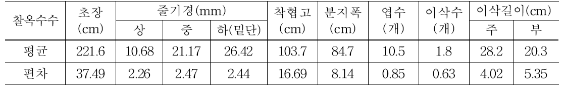 식용 풋옥수수 작물특성