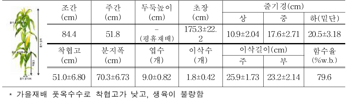 2차 포장시험 공시작물 및 시험포장 조건