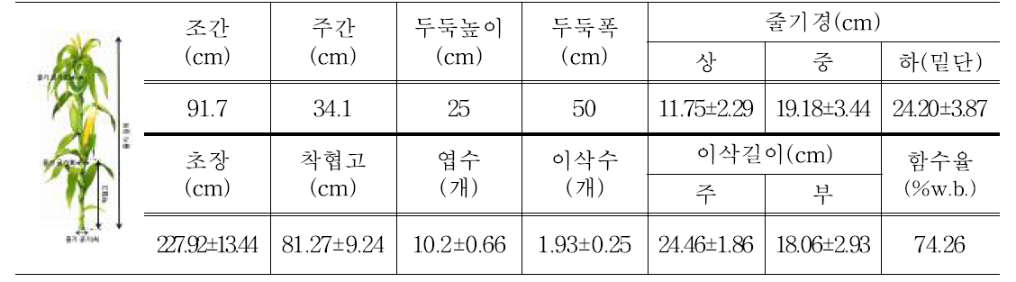 포장시험 공시작물(황금맛찰) 물성 및 시험포장 조건