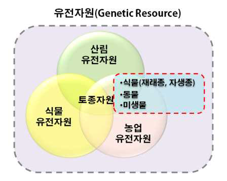 유전자원의 범주와 토종자원