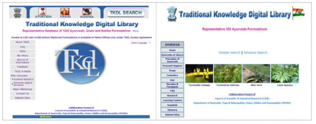 TKDL 홈페이지와 아유르베다 검색화면