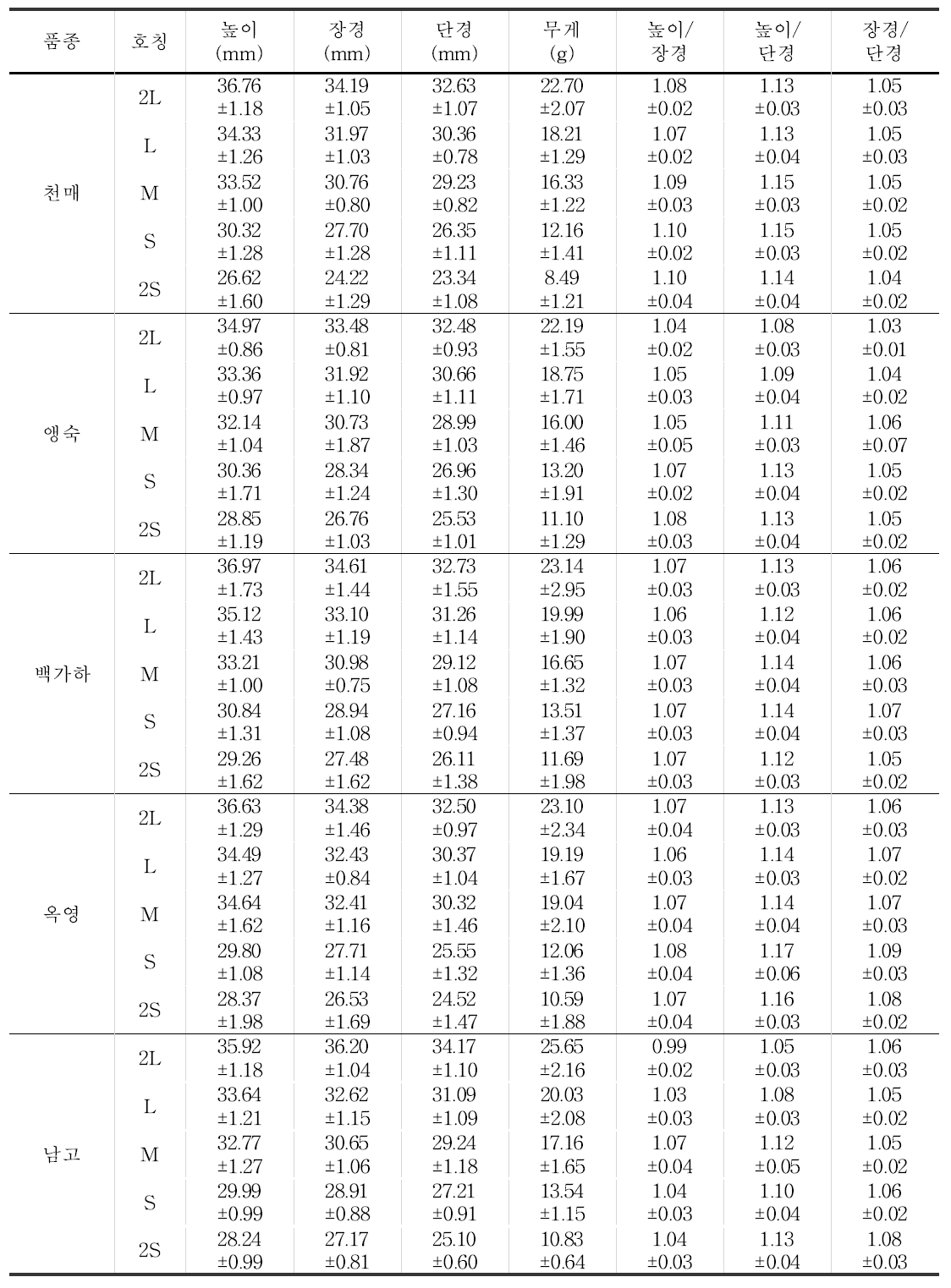 매실의 기하학적 물성