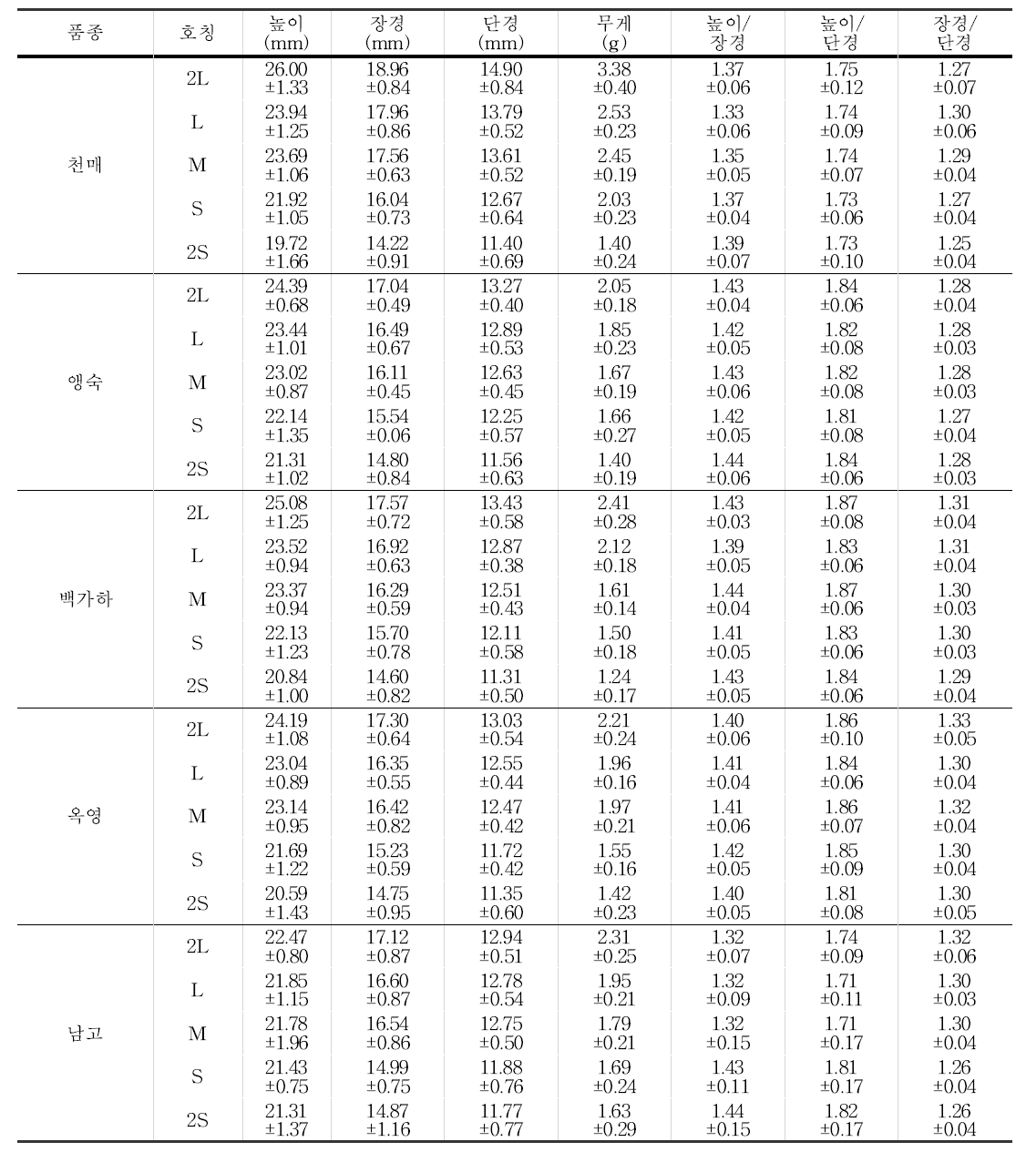 매실 씨의 기하학적 물성