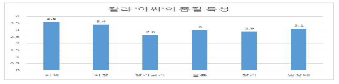 외관 및 품질특성 평가(5점 척도)