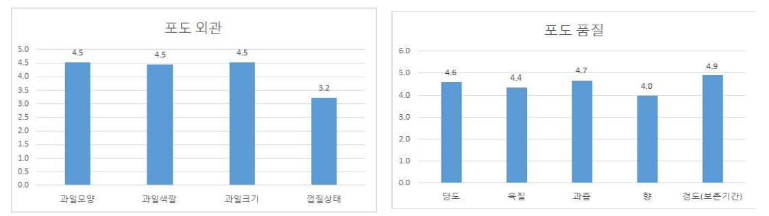 외관 및 품질특성 평가(7점 척도)