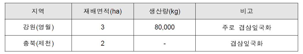 겹삼잎국화의 생산량 (추정, 2017년 기준 자체 현장조사)