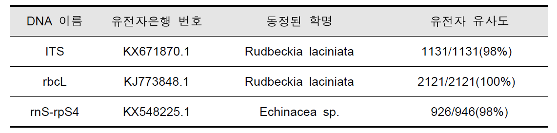 분석 DNA 염기서열을 이용한 종 동정 결과