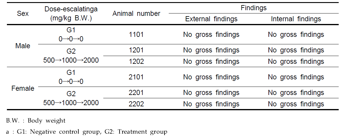 Necropsy findings