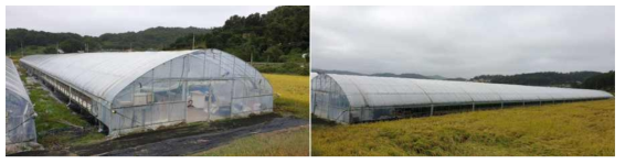 Experimental greenhouse with front view and side view
