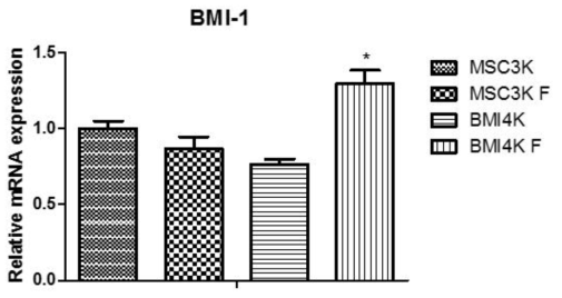 BMI-1 과발현 줄기세포의 동결 해동 후의 BMI-1의 mRNA 발현량