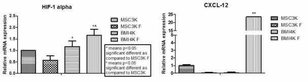 BMI-1 과발현 줄기세포의 동결해동 후의 homing 인자의 mRNA 발현량