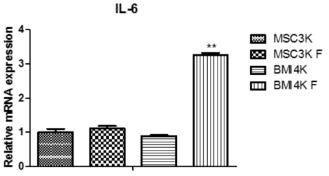 BMI-1 과발현 줄기세포의 동결해동 후의 IL-6 mRNA 발현량