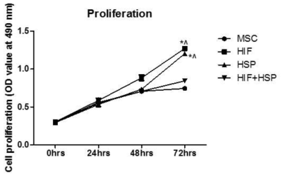 HIF, HSP 및 병용처리군의 증식성