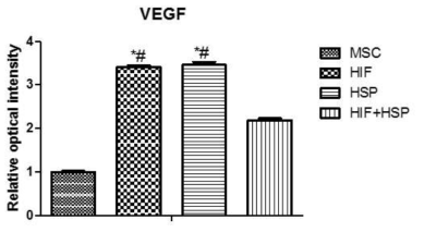 HIF, HSP 및 병용처리군의 VEGF mRNA 발현량