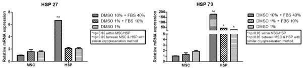 동결제 종류에 따른 HSP활성화 처리 줄기세포의 HSP 27 및 HSP 70 mRNA 발현량