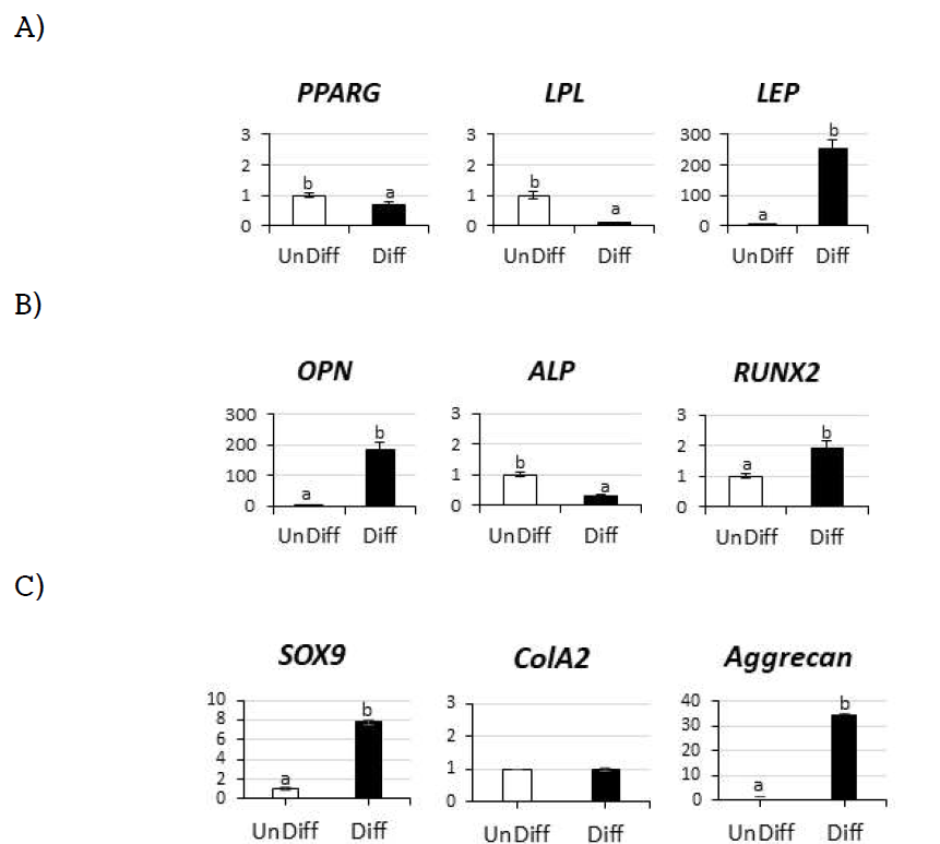 Expression of tissue specific markers after 21 days in induction medium. Aipogenesis markers (A), Osteogenesis markers (B), Chondrogenesis markers (C)