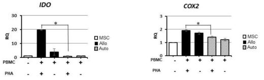 The expression of immunomodulatory gene(IDO, COX2) mRNA level analysis of A-MSCs after co-cultured with PBMCs for 3days