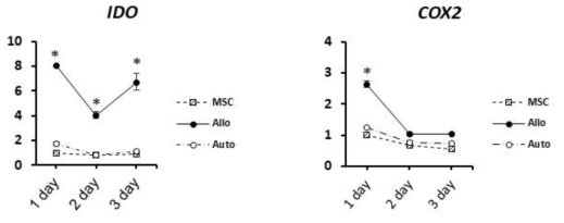 Change in the mRNA level of immunomodulatory genes(IDO, COX2) in 24-72hrs co cultured A-MSCs with PBMCs. The RQ levels were calculated using thΔΔCt value. The mRNA levels were nomalized to that of A-MSCs alone cultured for 24hrs