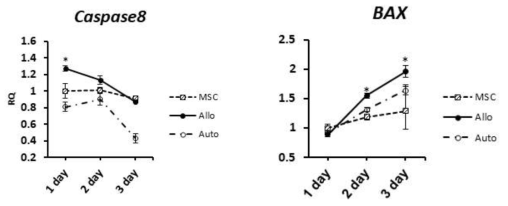 Change in the mRNA level of apoptosis related genes(Caspase 8, BAX) in 24-72hrs co cultured A-MSCs with PBMCs. The RQ levels were calculated using th ΔΔCt value. The mRNA levels were nomalized to that of A-MSCs alone cultured for 24hrs