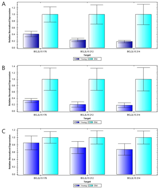 Quantitative real-time PCR analyses of BCL2L15 gene in young (deep blue box) and older dogs (light blue box). A, BCL2L15 gene expression analyses in young and older small dogs. B, BCL2L15 gene expression analyses in young and older medium dogs. C, BCL2L15 gene expression analyses in young and older large dogs